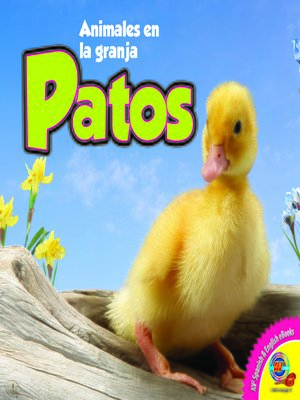 cover image of Patos (Ducks)